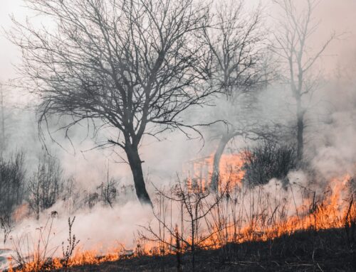 Prediciendo incendios desde el teclado
